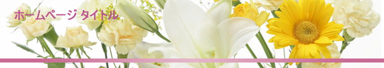 �z�[���y�[�W �^�C�g��